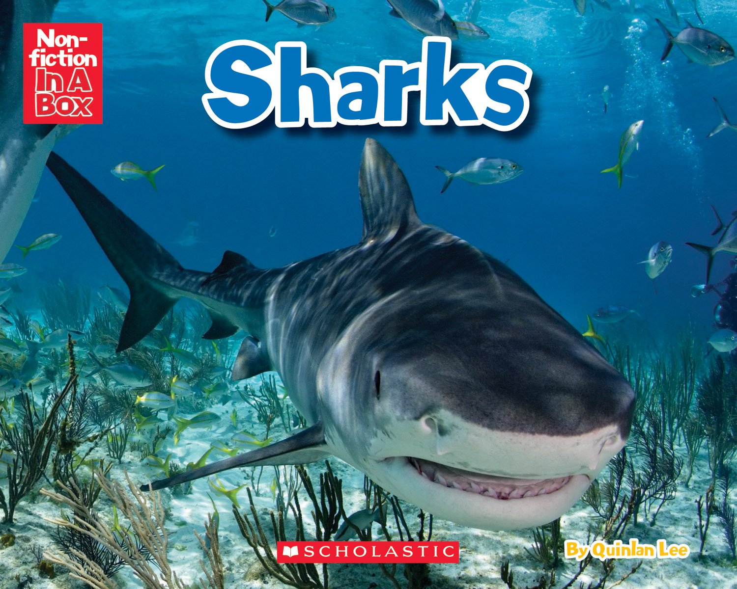 Sharks in a Box