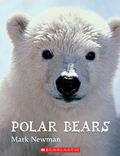 Polar Bears