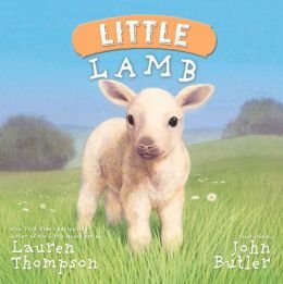 Little Lamb Hardcover (9781435153523)