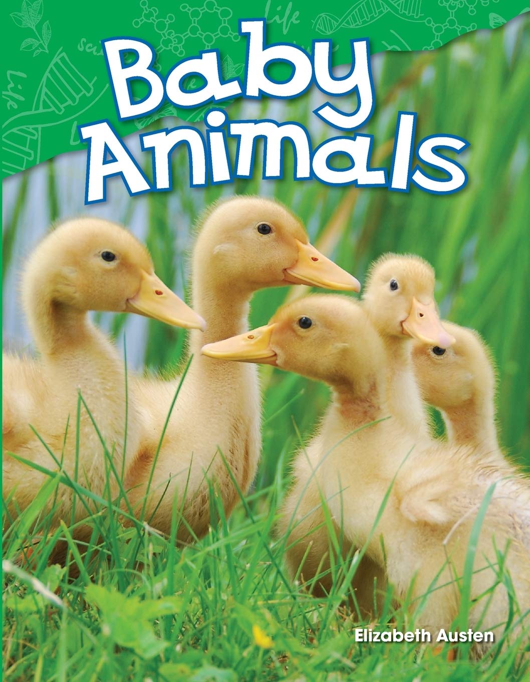 Teacher Created Materials - Science Readers: Content and Literacy: Baby Animals - Grade K - Guided Reading Level A