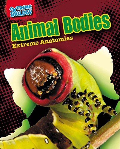Animal Bodies: Extreme Anatomies (Extreme Biology)