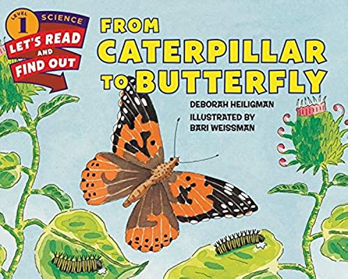 From Caterpillar to Butterfly (Let's-Read-and-Find-Out Science 1)