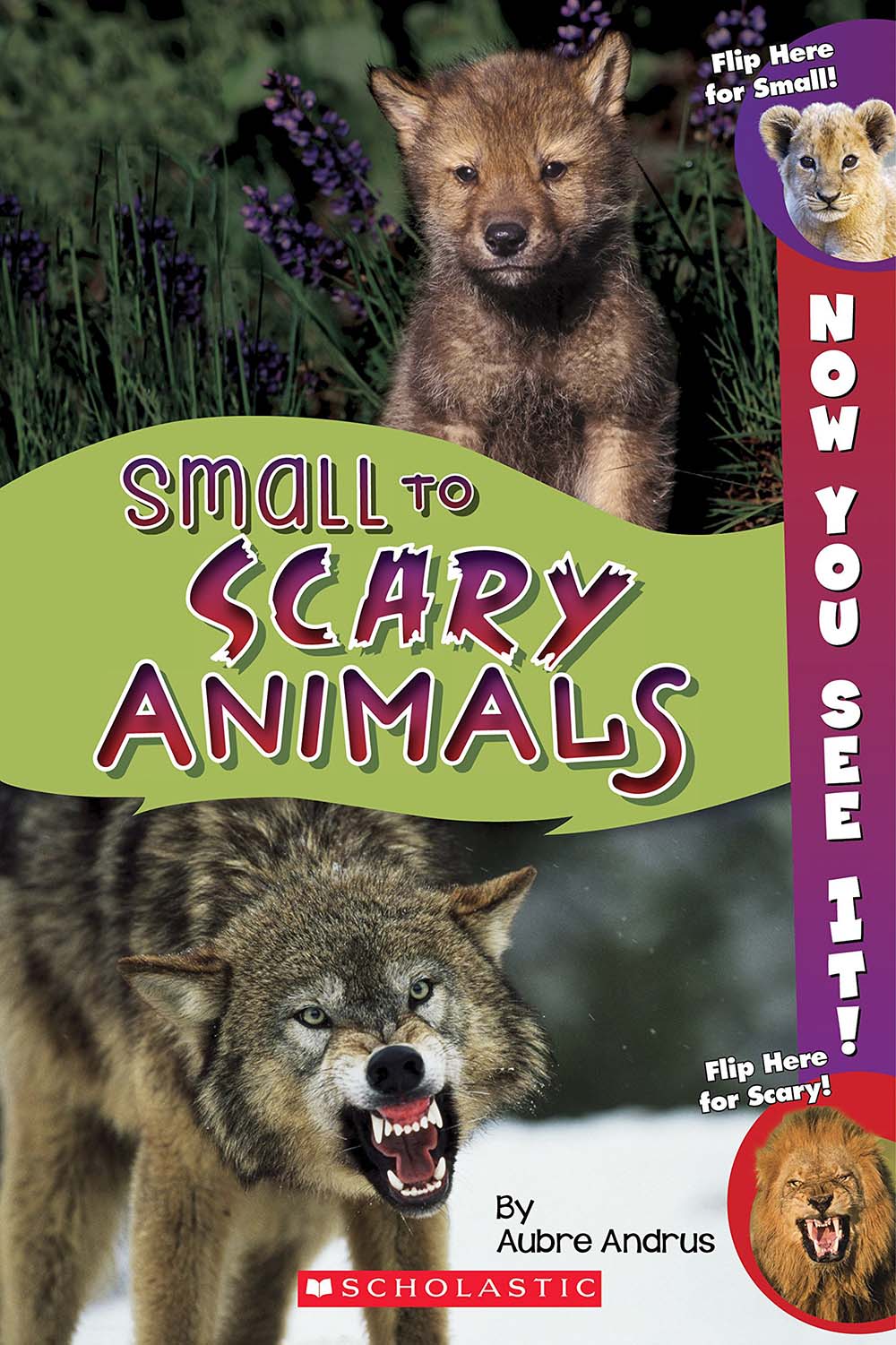 Now You See It! Small to Scary Animals
