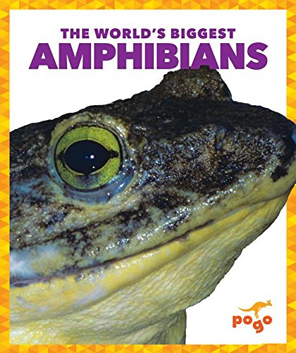 The World's Biggest Amphibians (Pogo Books: The World's Biggest Animals)