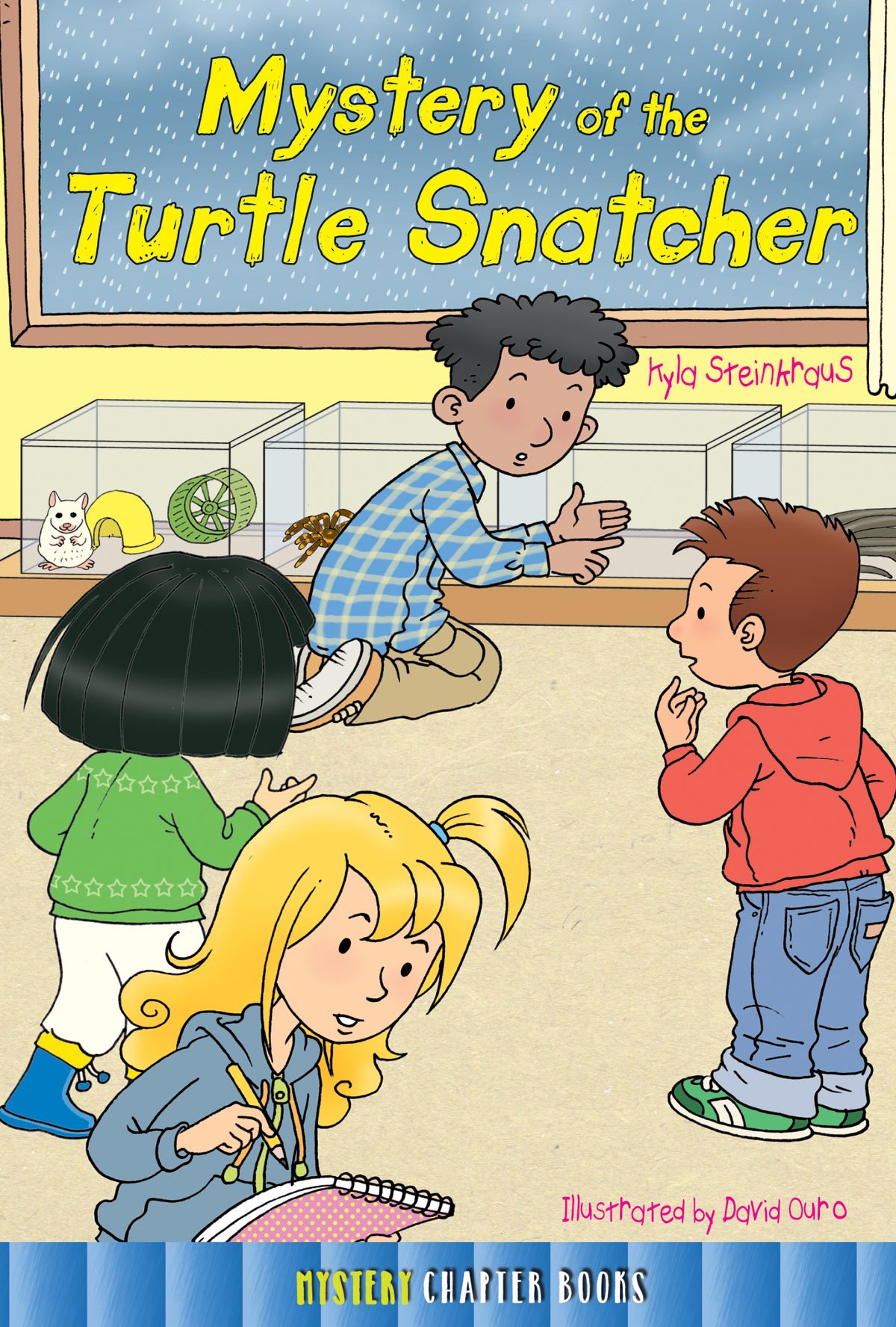 Rourke Educational Media Mystery of the Turtle Snatcher Chapter Book (Rourke's Mystery Chapter Books)