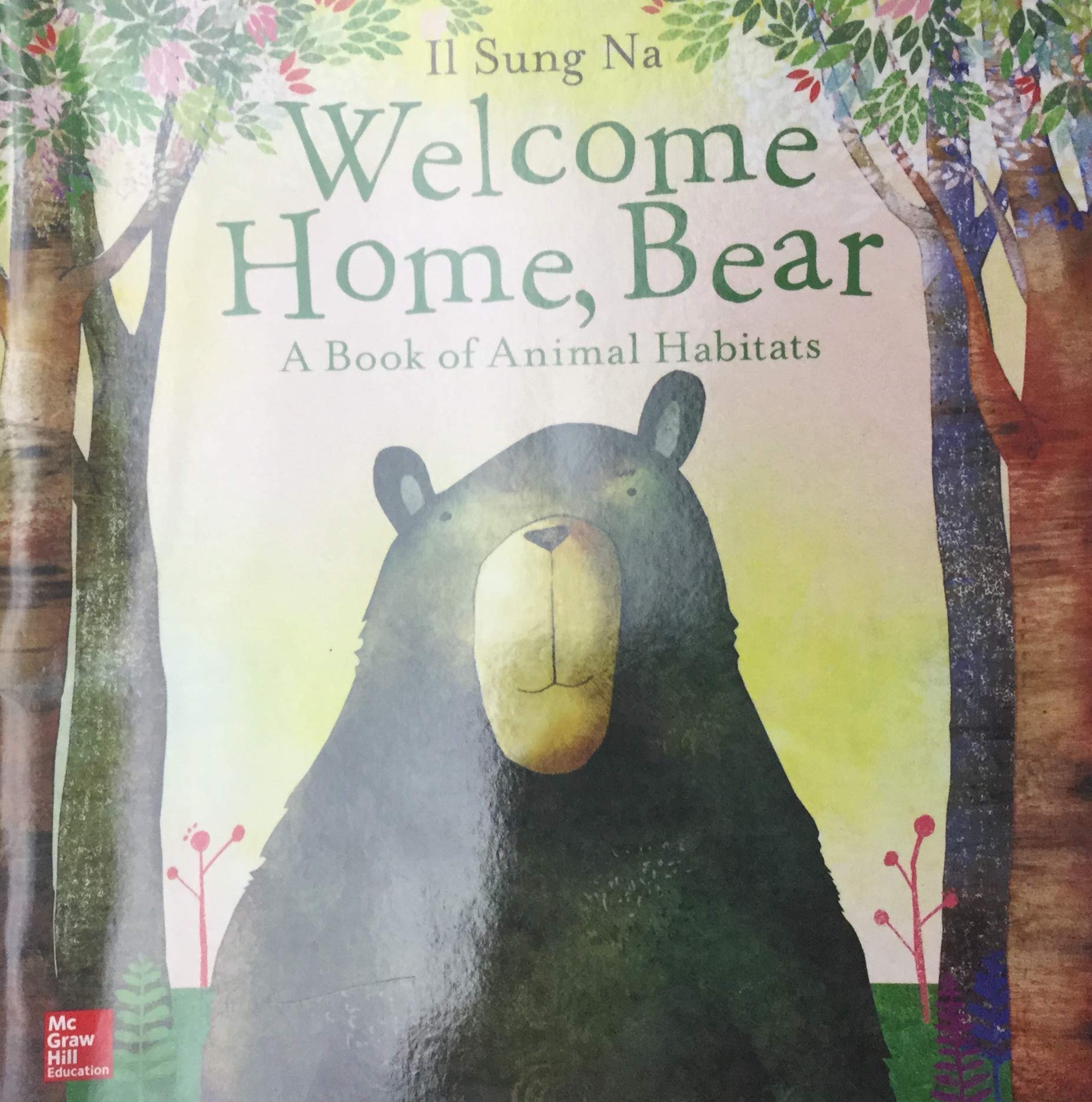 World of Wonders Trade Book U7W3 Welcome Home Bear (ELEMENTARY CORE READING)