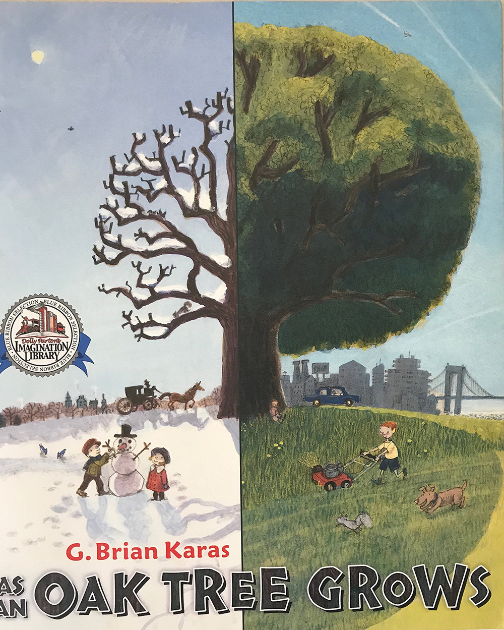 as an oak tree grows
