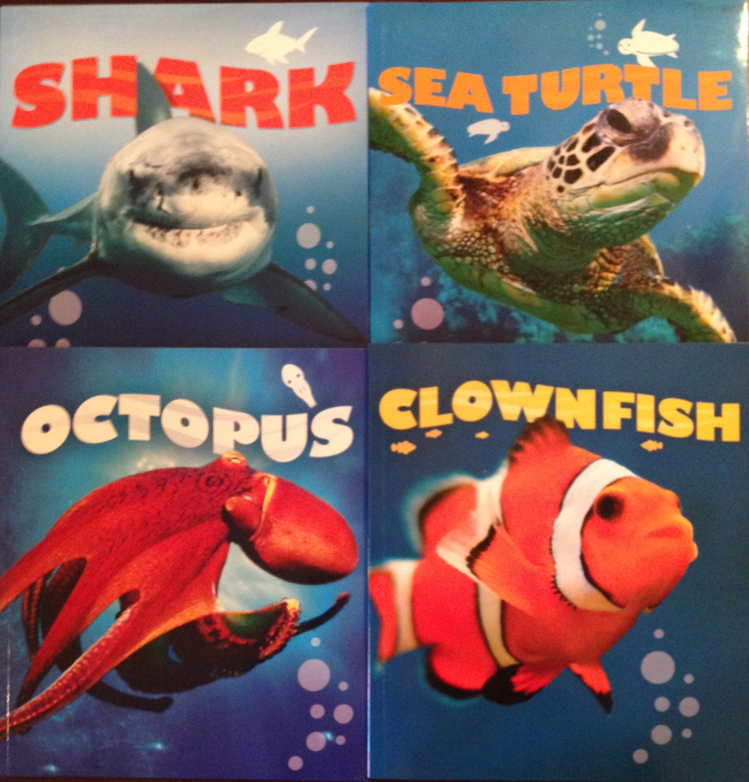 QEB Publishing Sea Creatures 4 Books Box Set (Clownfish, Sea Turtle, Shark, Octopus) [Tin Set Includes 6 Toy Fish]