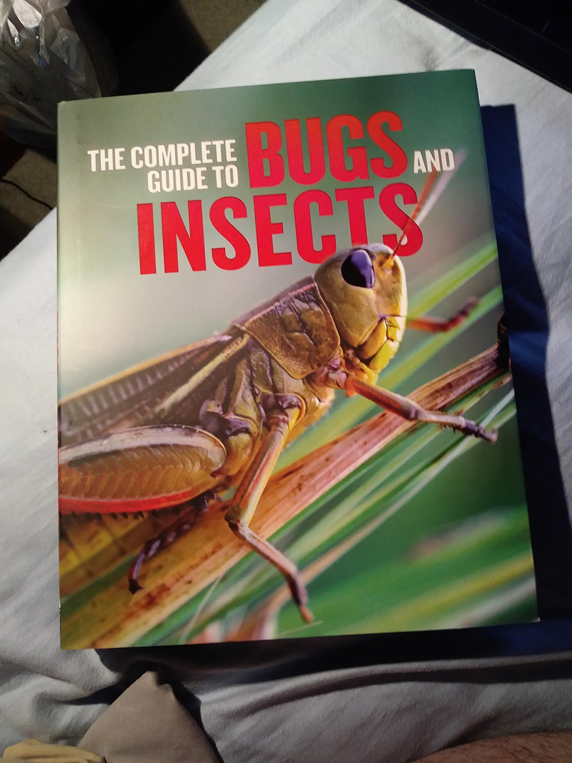 The Complete Guide To Bugs And Insects