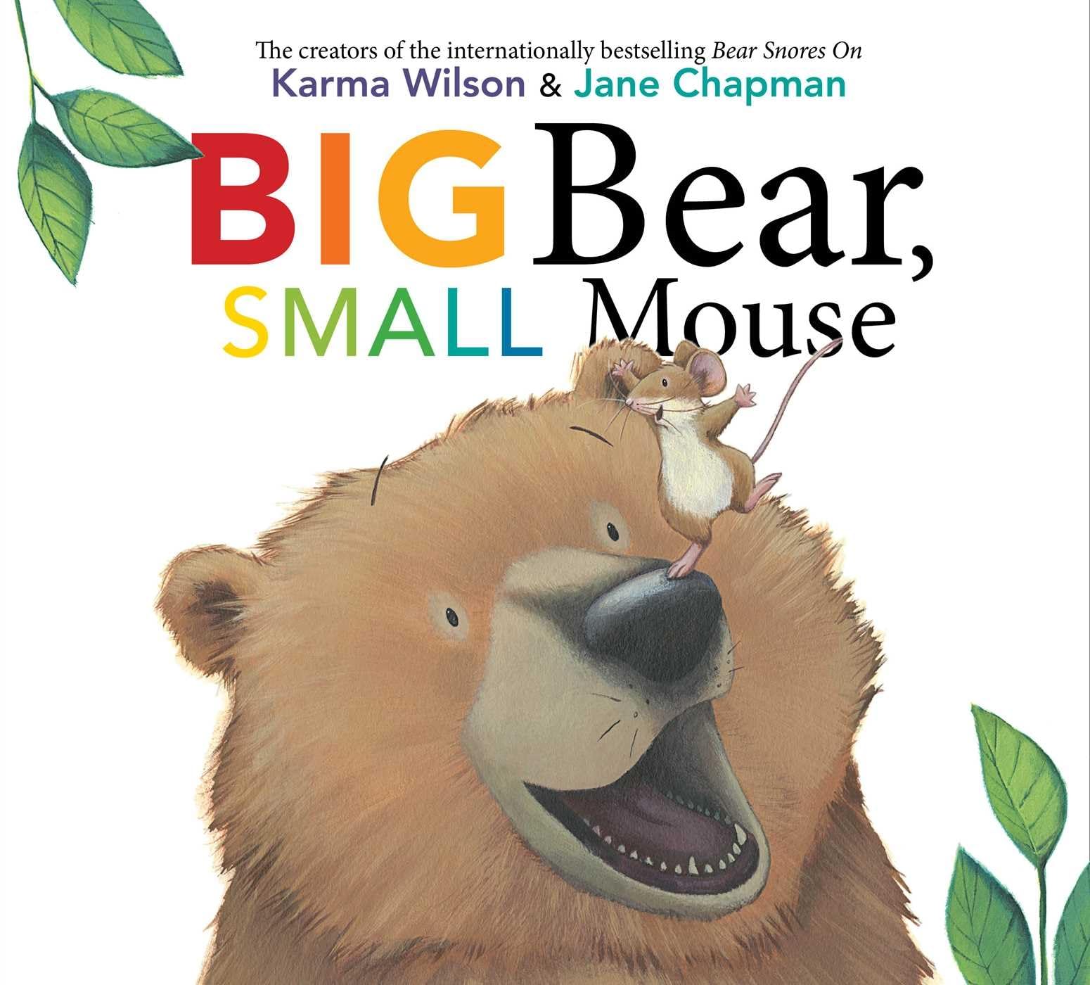 Big Bear, Small Mouse (The Bear Books)