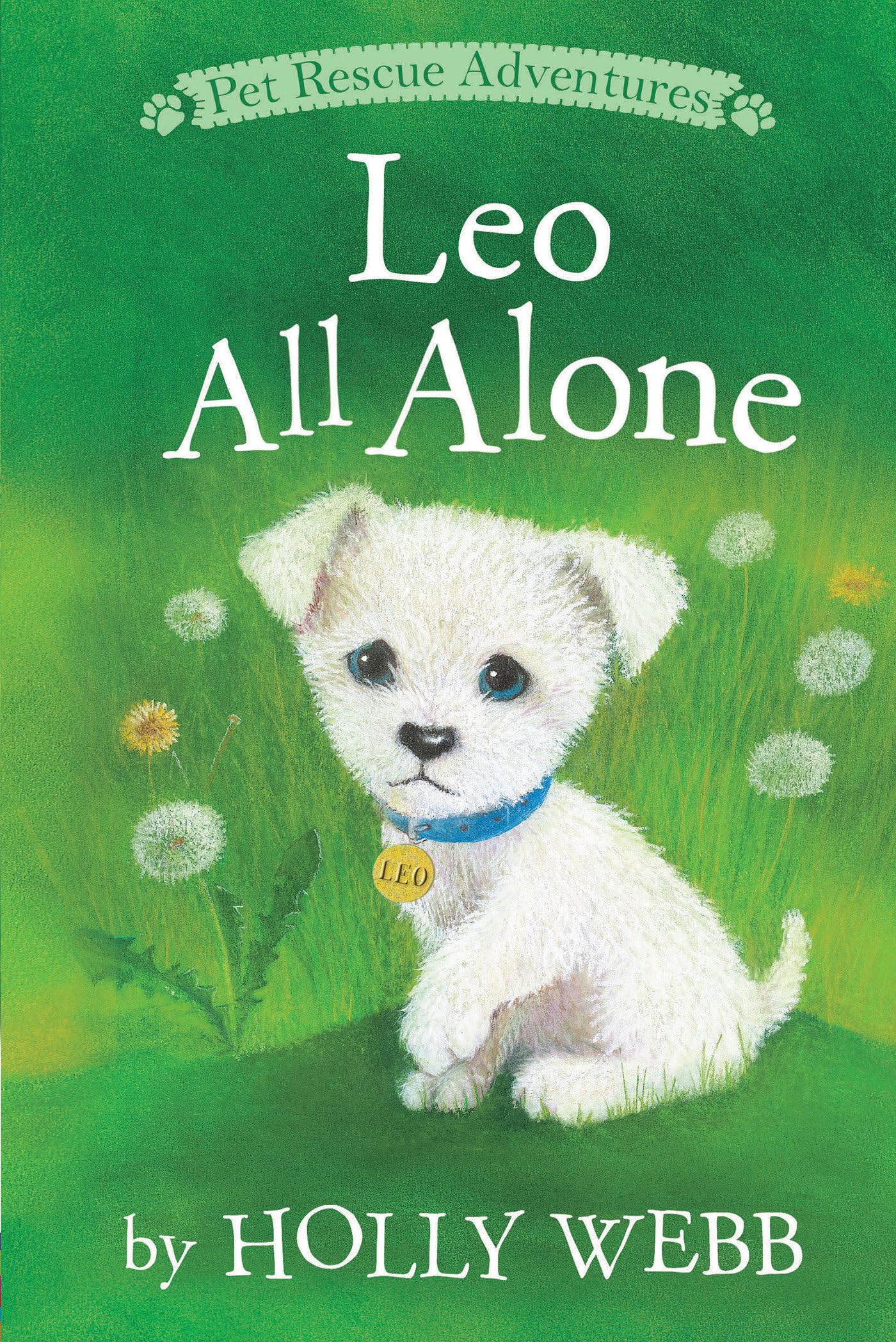 Leo All Alone (Pet Rescue Adventures)