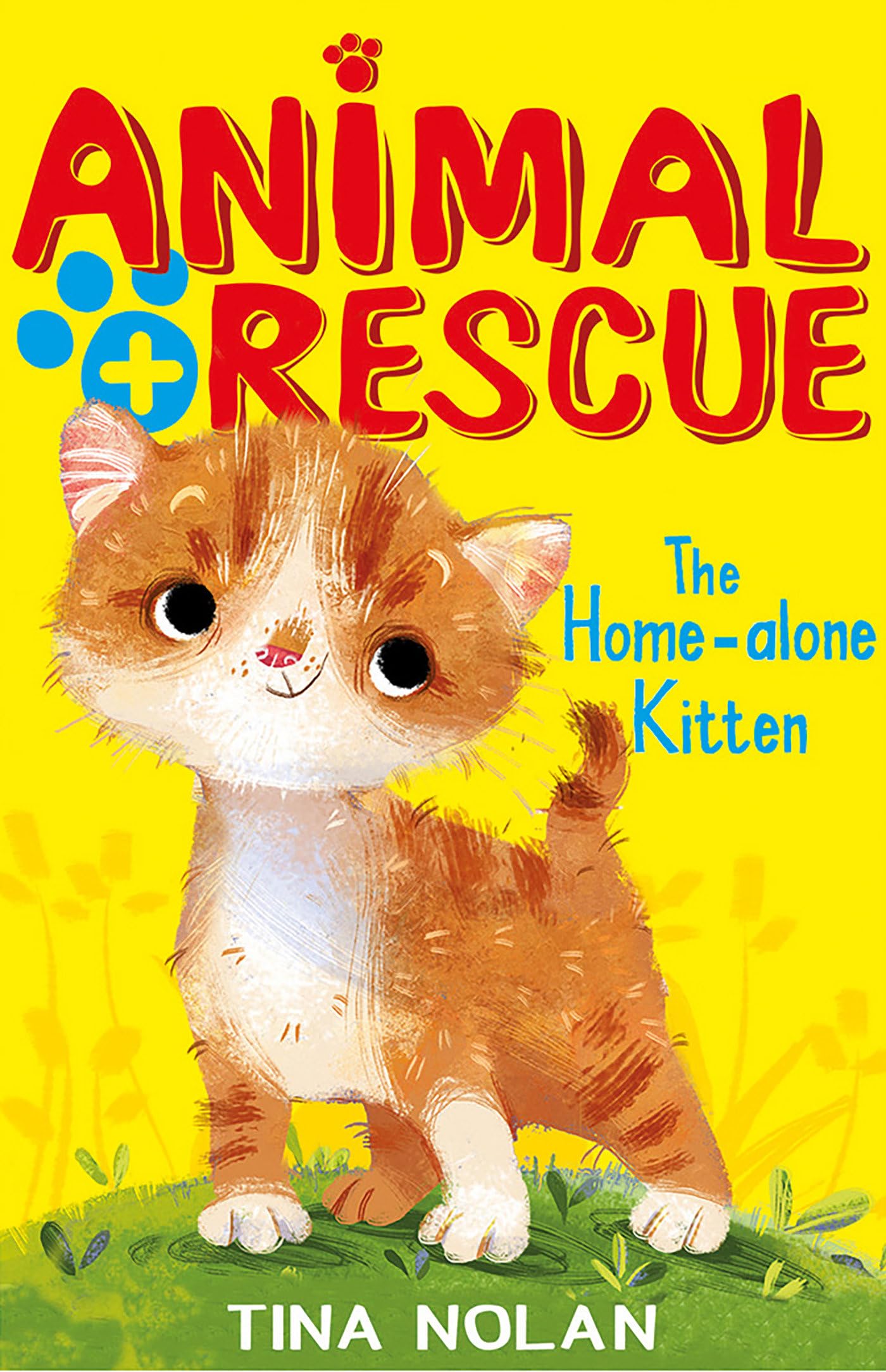 The Home-alone Kitten (Animal Rescue Center)