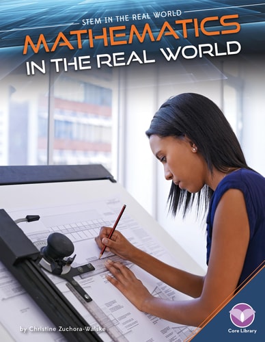 Mathematics in the Real World (Stem in the Real World)