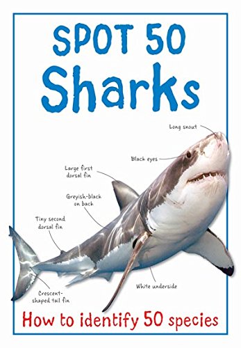 SPOT 50 - SHARKS