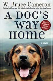 A Dog's Way Home: One Dog's Incredible Journey to Find Her Person