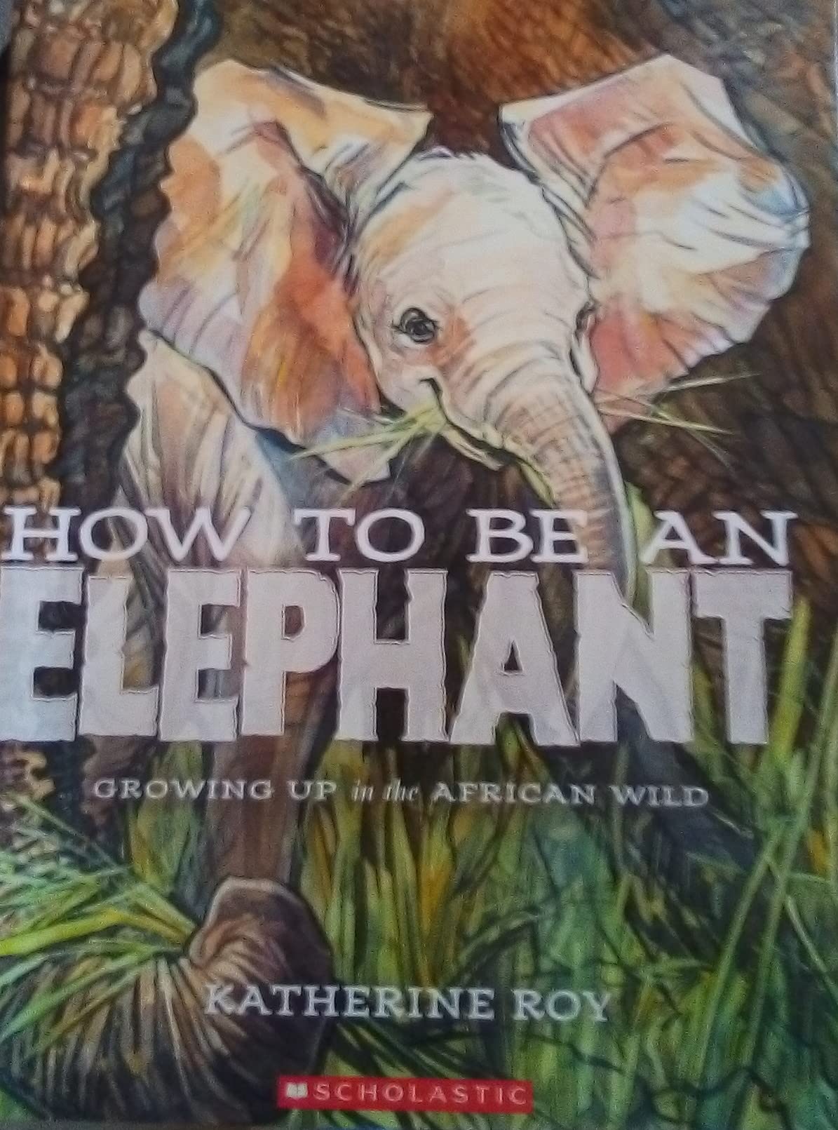 How to Be an Elephant