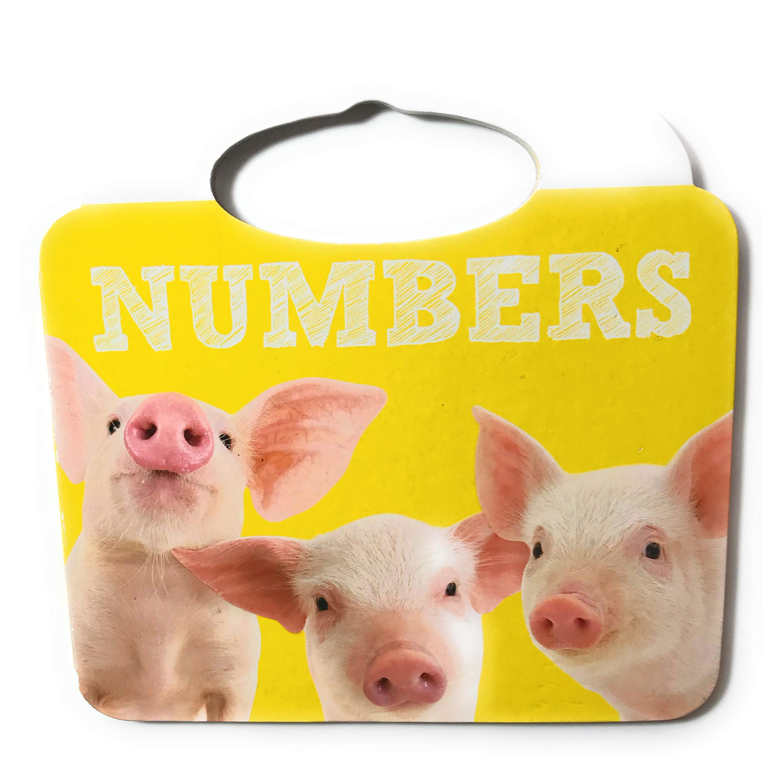 NUMBERS