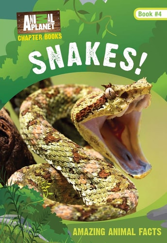 Snakes! (Animal Planet Chapter Books #4)