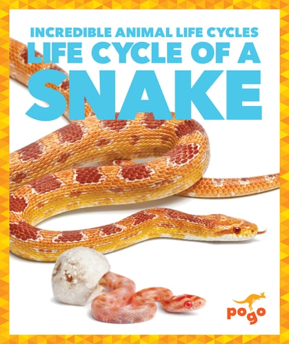 Life Cycle of a Snake (Pogo Books: Incredible Animal Life Cycles)