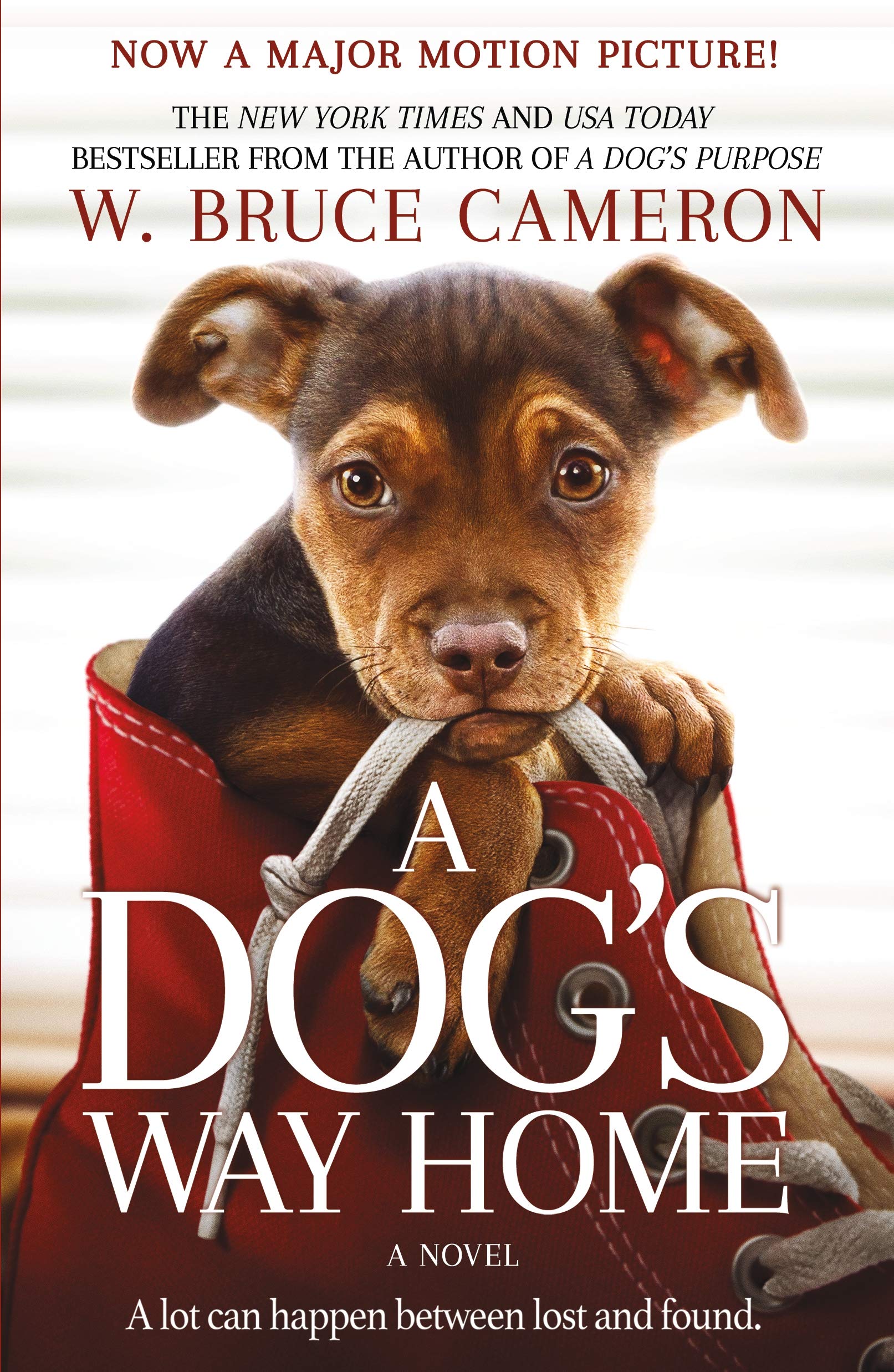 A Dog's Way Home Movie Tie-In: A Novel (A Dog's Way Home Novel, 1)