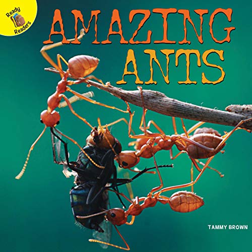 Amazing Ants (Plants, Animals, and People)