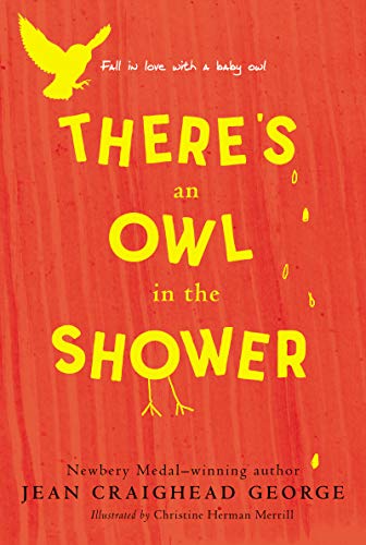 theres_an_owl_in_the_shower
