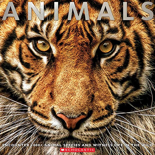 Animals: Witness Life in the Wild Featuring 100s of Species