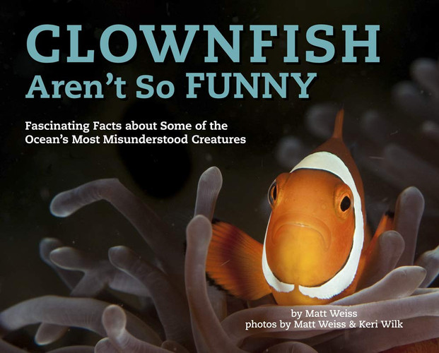 Clownfish Aren't So Funny Fascinating Facts about Some of the Ocean's Most Misunderstood Creatures