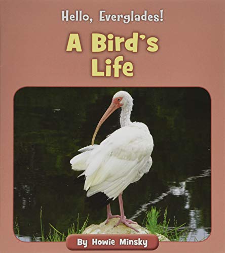 A Bird's Life (Hello, Everglades!)