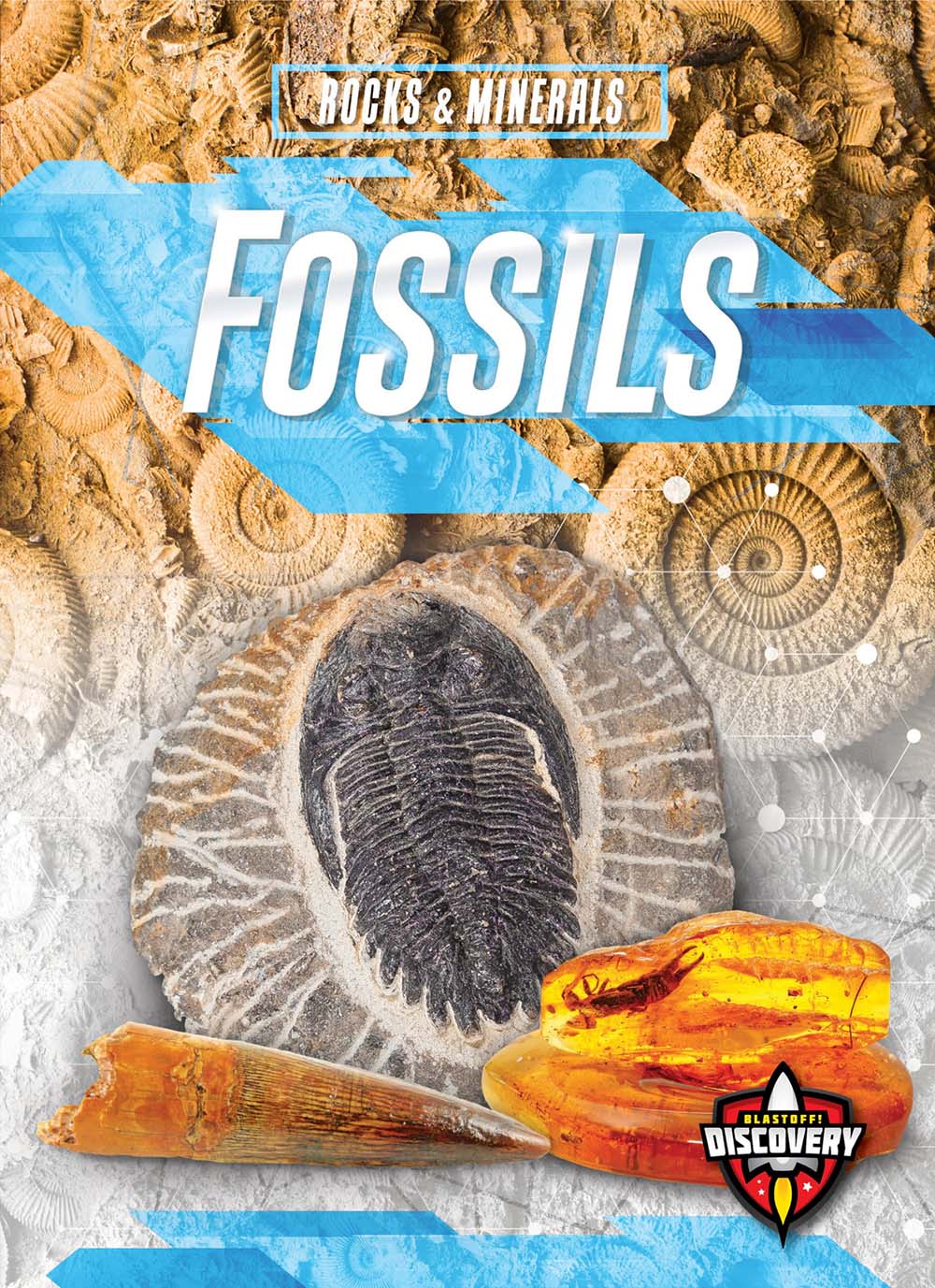 Fossils (Rocks & Minerals)
