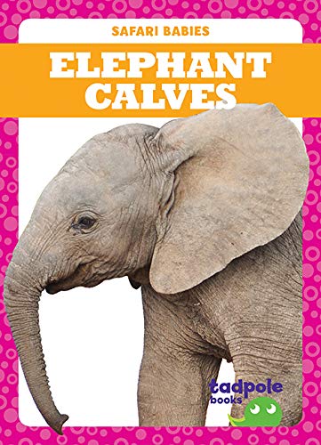 Elephant Calves (Tadpole Books: Safari Babies)