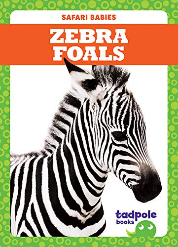 Zebra Foals (Tadpole Books: Safari Babies)