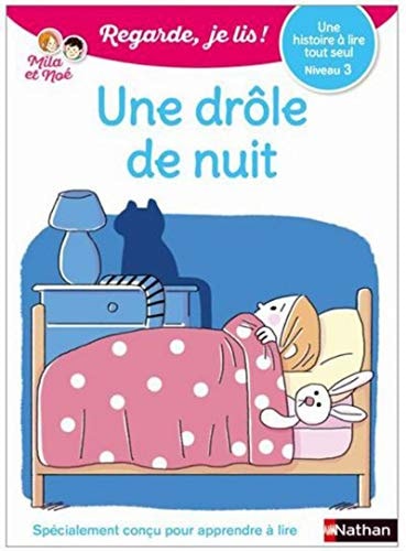 Une drôle de nuit - niveau 1 - Regarde je lis ! (11)