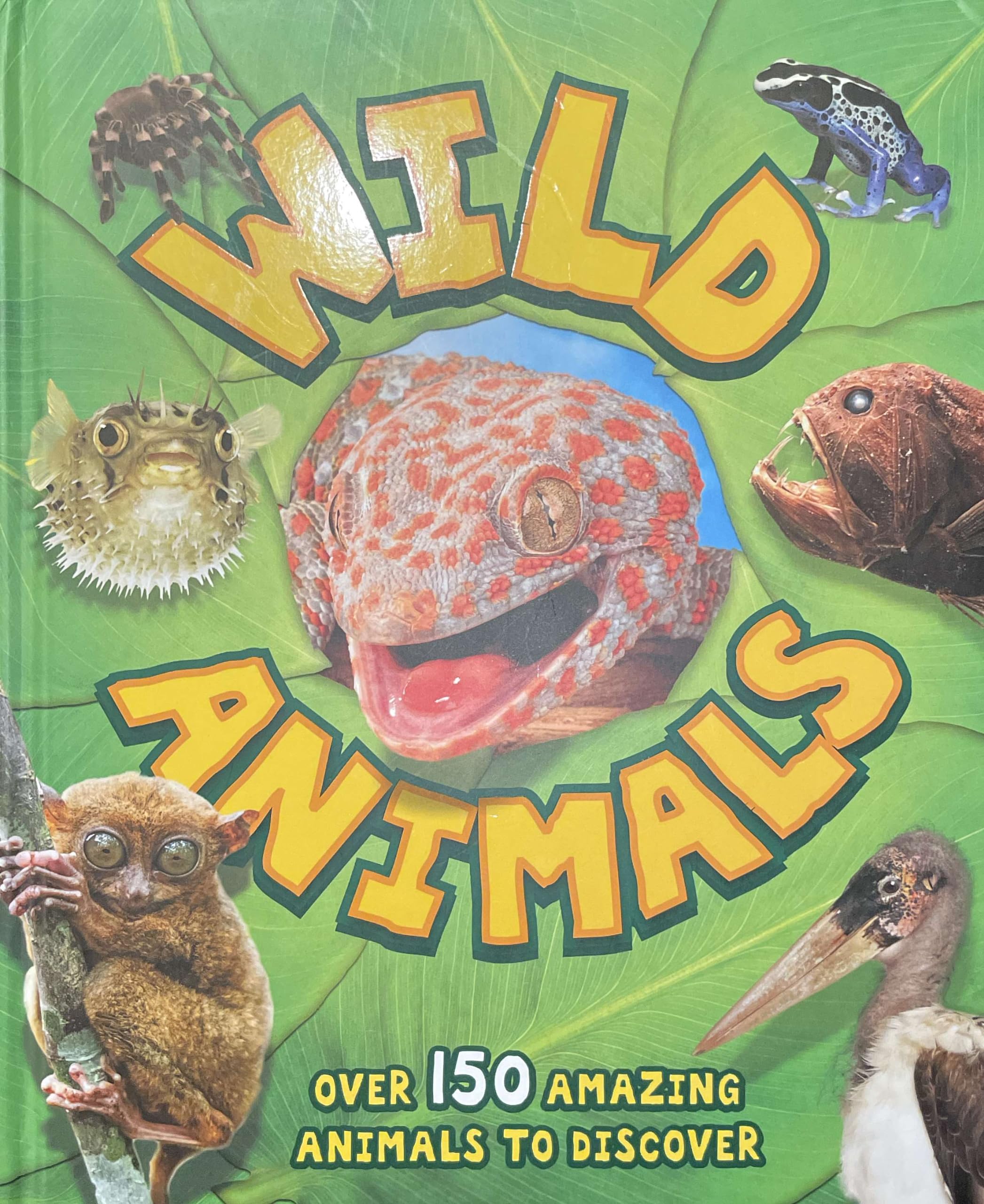 Wild Animals Over 150 amazing animals to discover