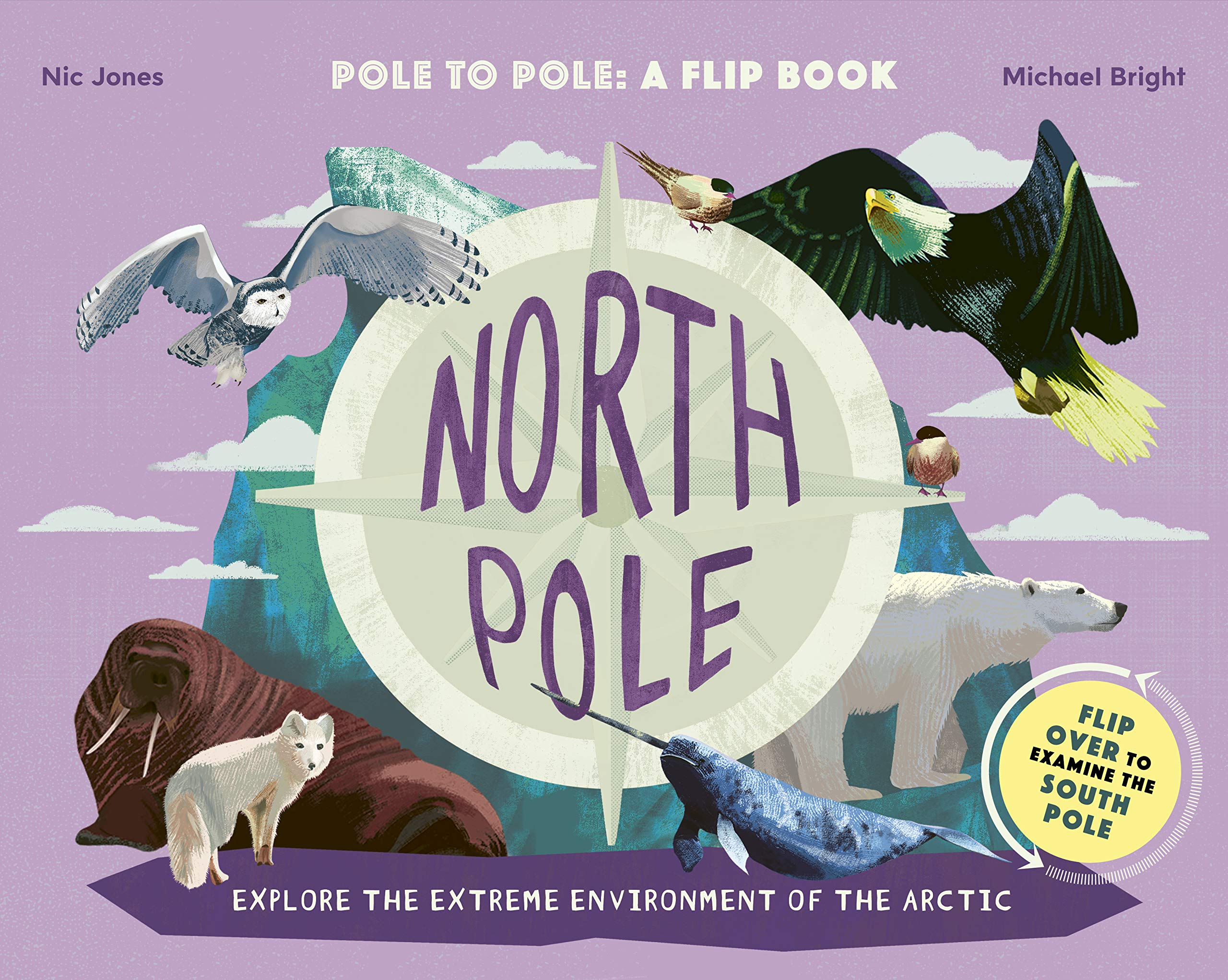 North Pole / South Pole: Pole to Pole: a Flip Book - Explore the Extreme Environment of the Arctic/Antarctic