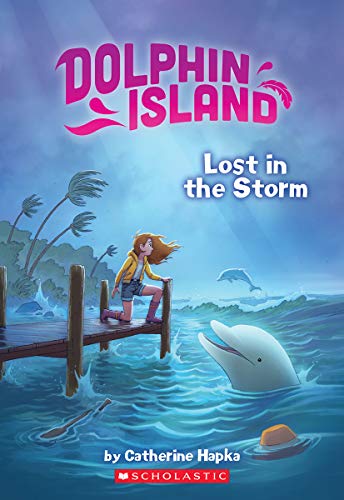 Lost in the Storm (Dolphin Island)