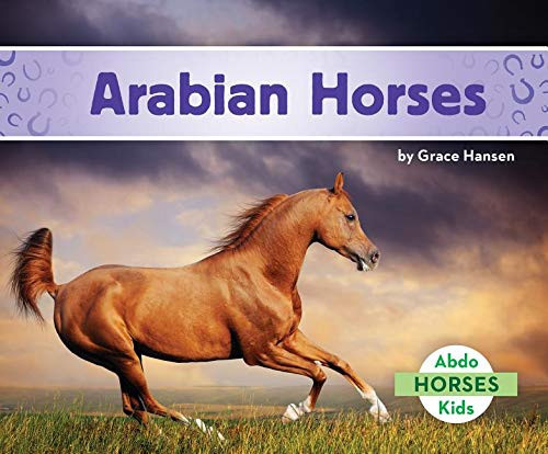 Arabian horses