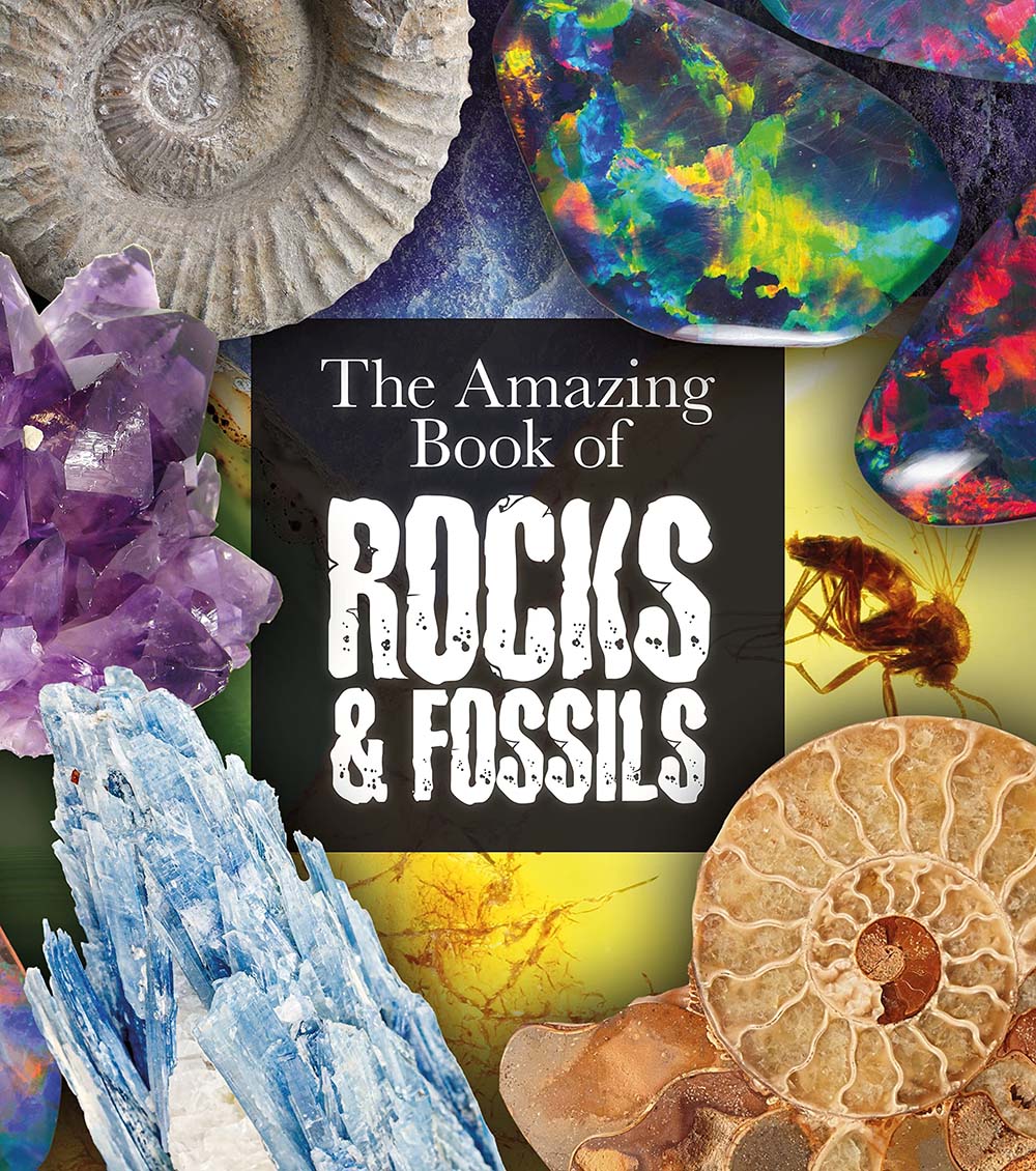 The Amazing Book of Rocks and Fossils (Amazing Books, 6)