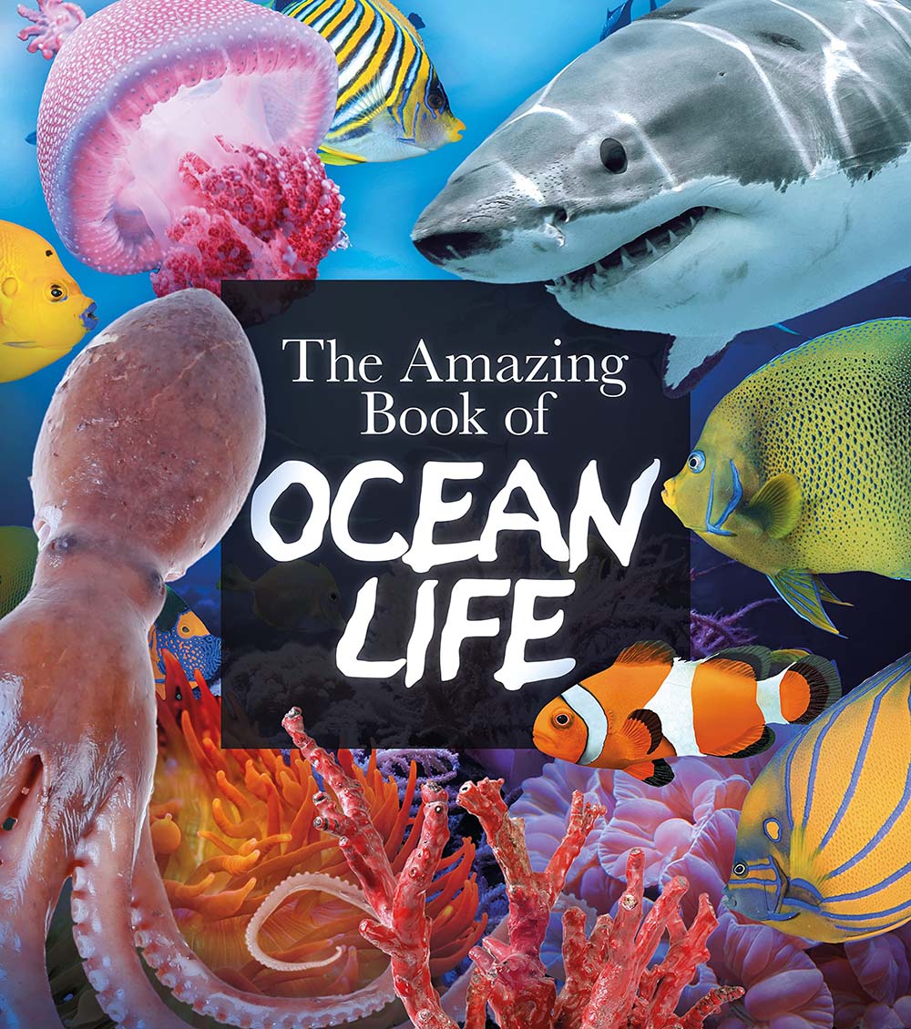 The Amazing Book of Ocean Life (Amazing Books, 7)