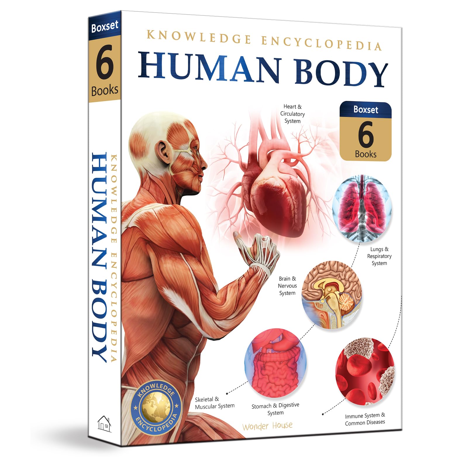 Knowledge Encyclopedia: Human Body (Knowledge Encyclopedia For Children)