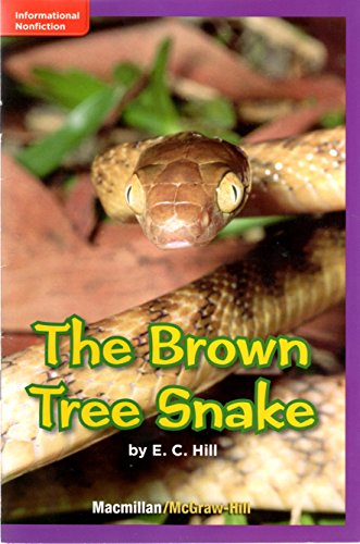 The Brown Tree Snake