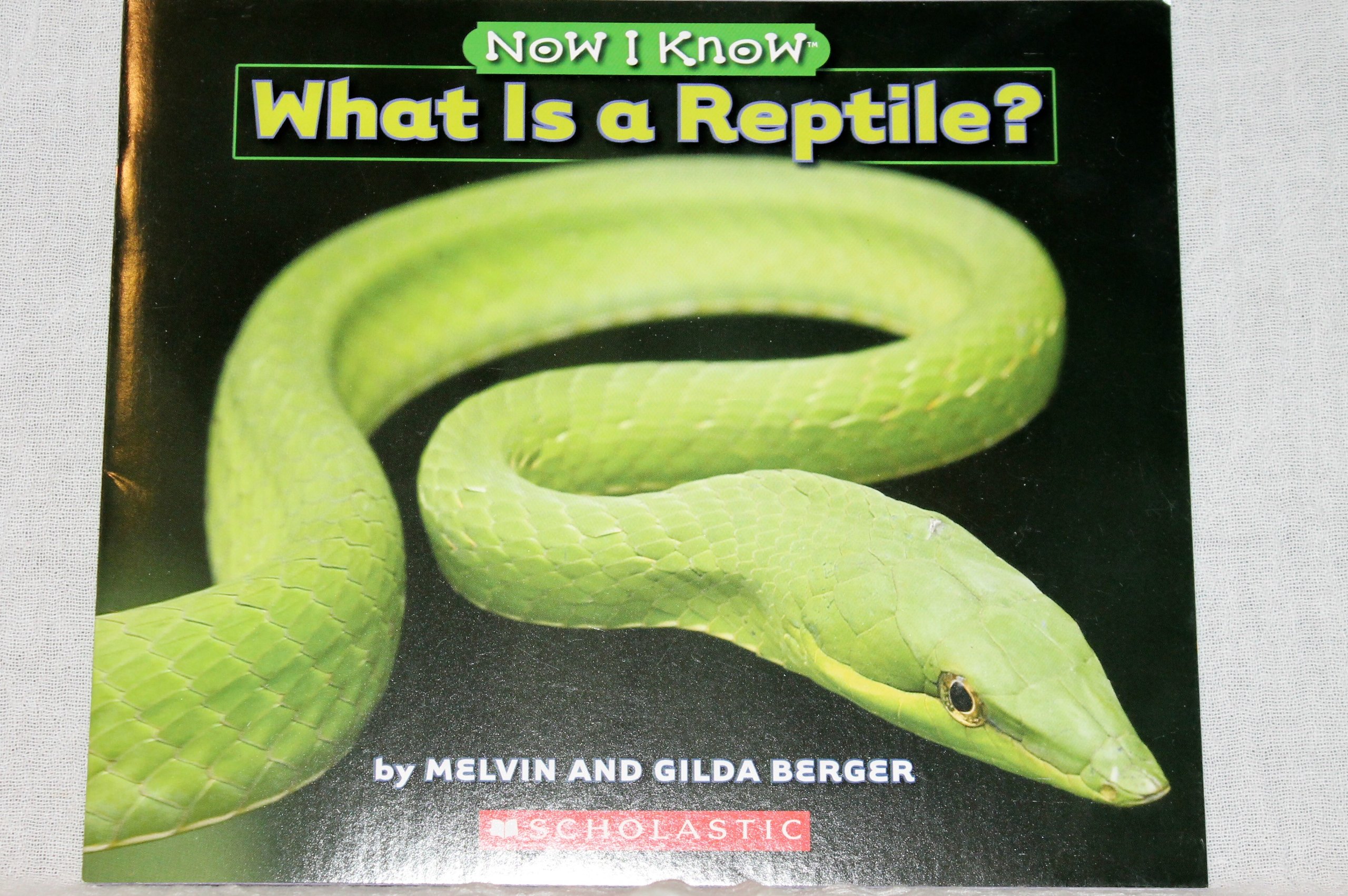 What Is a Reptile? Now I Know Scholastic