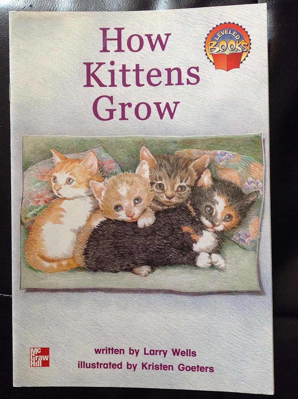 How Kittens Grow