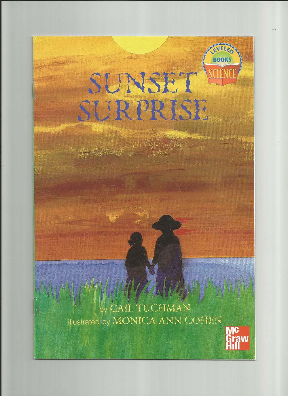 Sunset Surprise (Science Leveled Books)