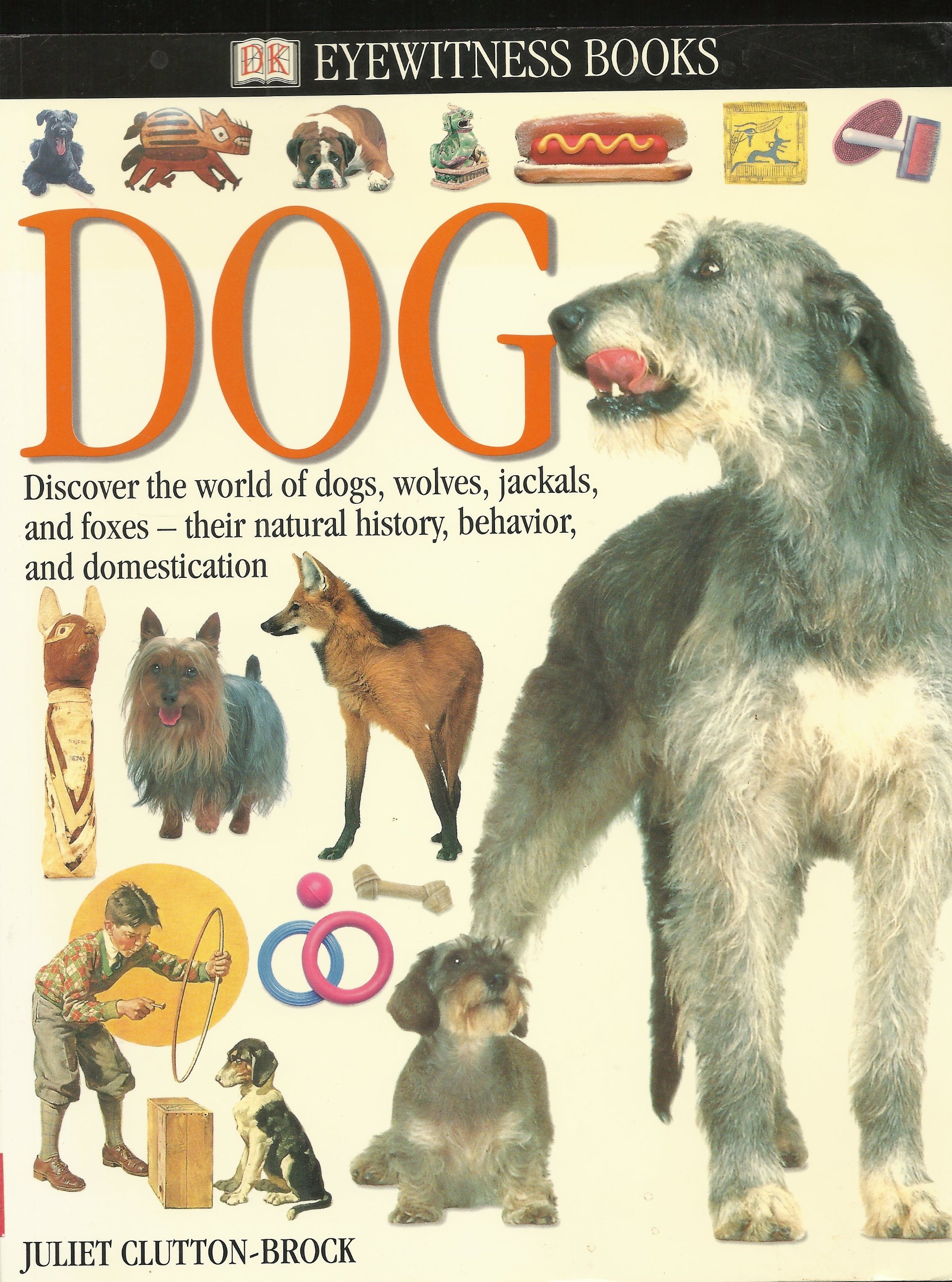 Dogs