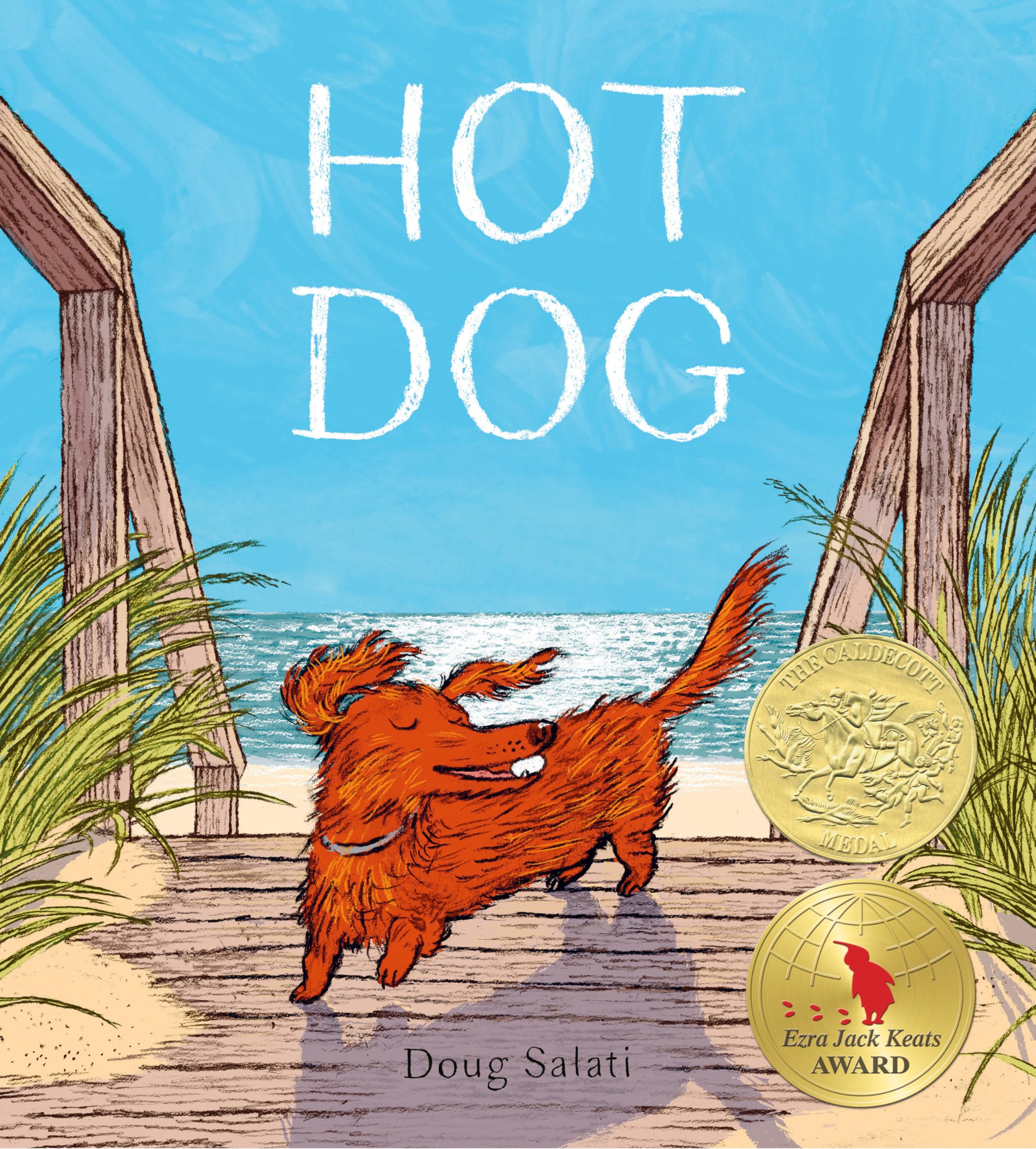 Hot Dog: (Winner of the 2023 Caldecott Medal)