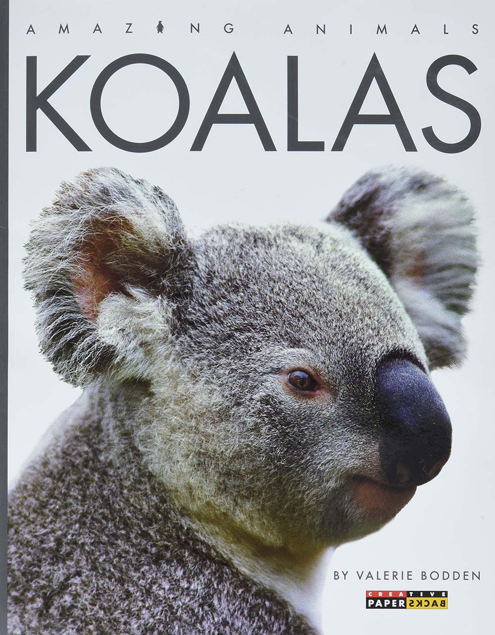 Koalas (Amazing Animals)