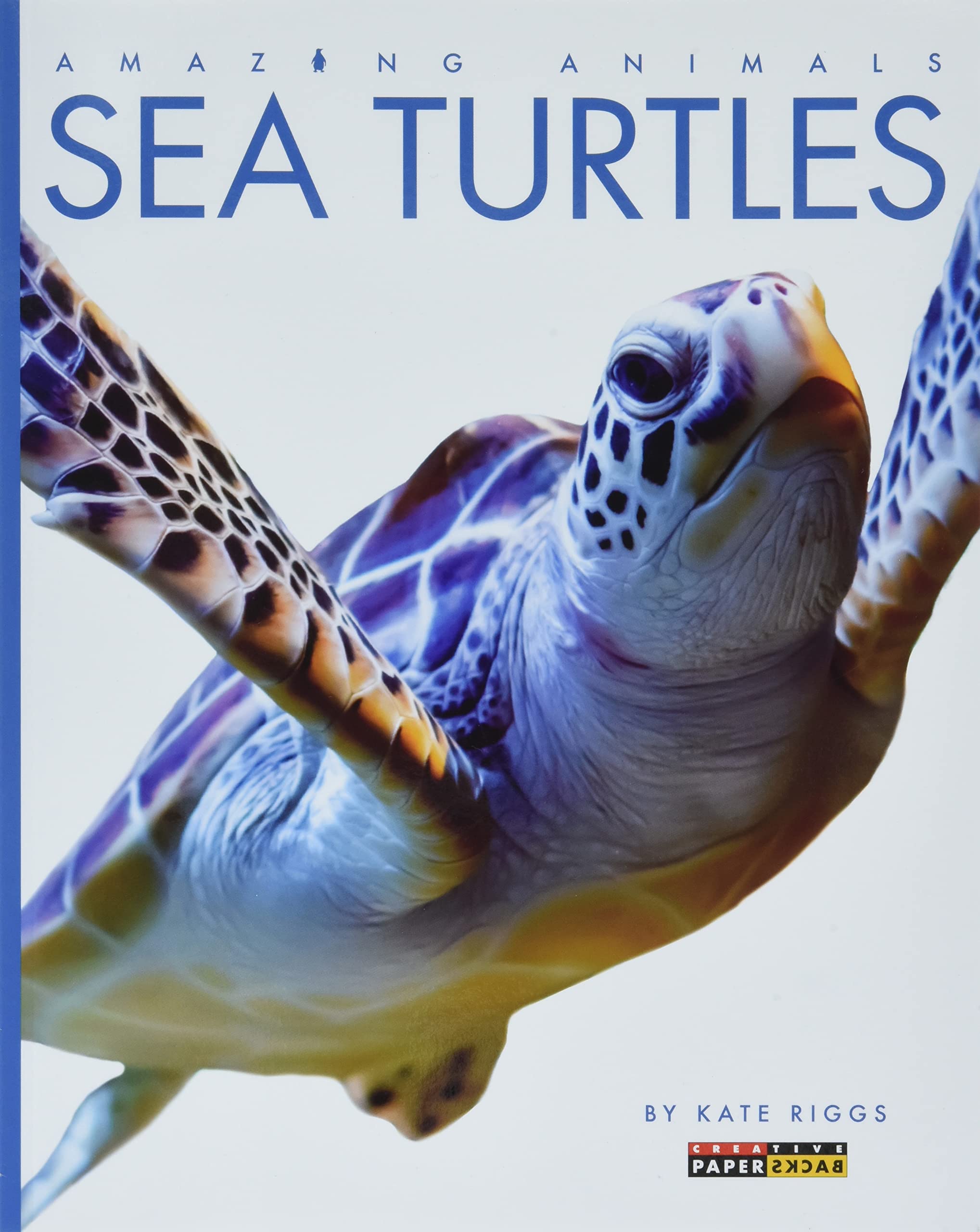 Sea Turtles (Amazing Animals)