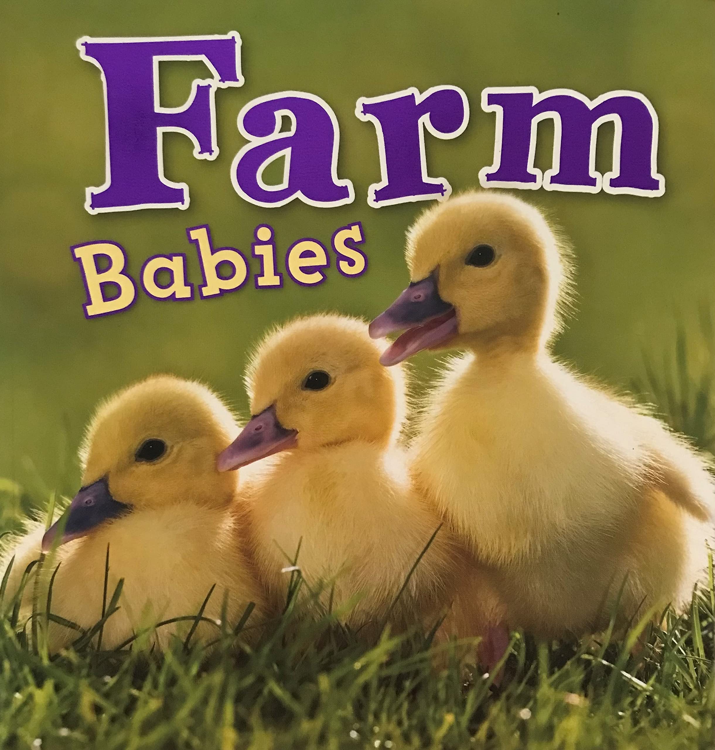 Farm Babies