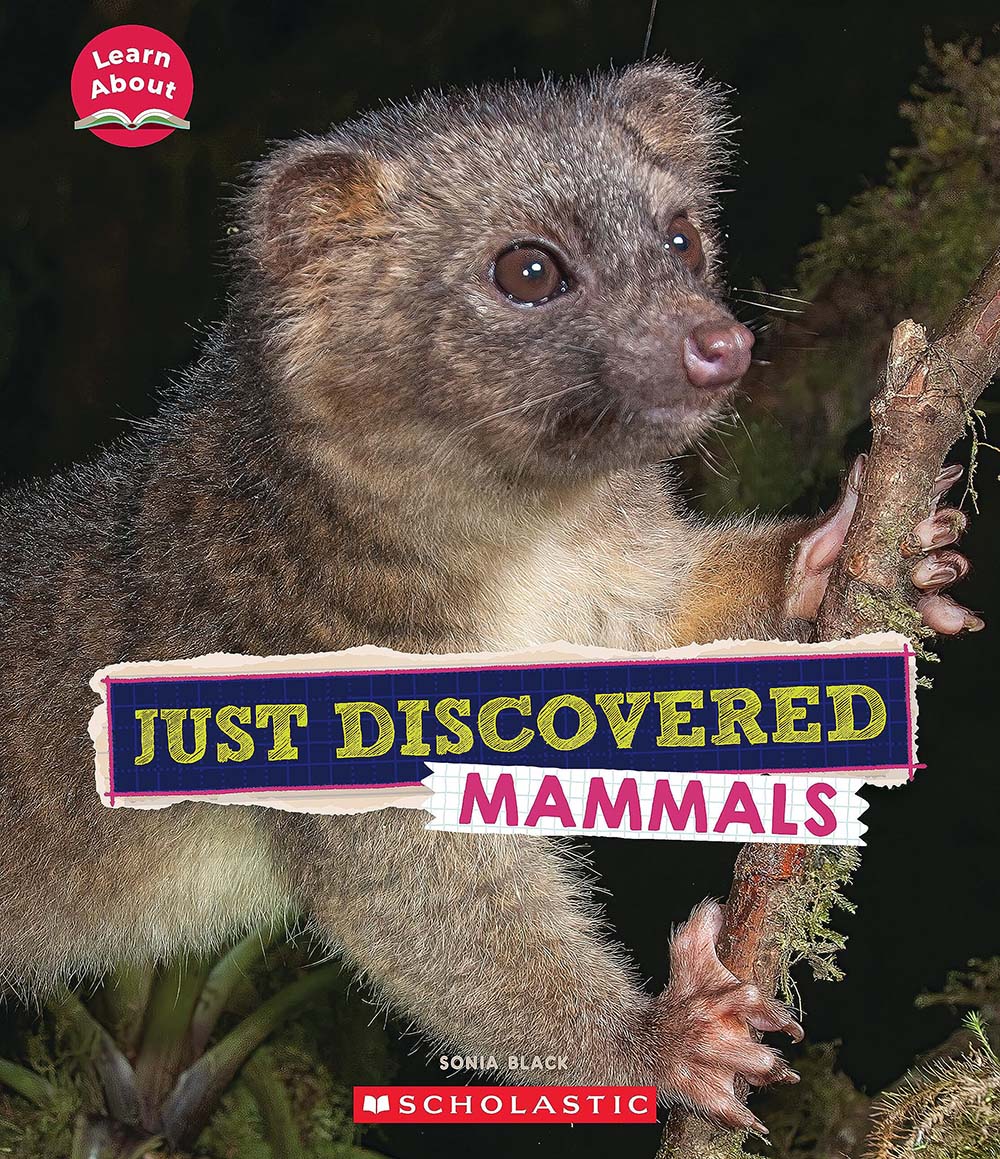 Just Discovered Mammals (Learn About: Animals)